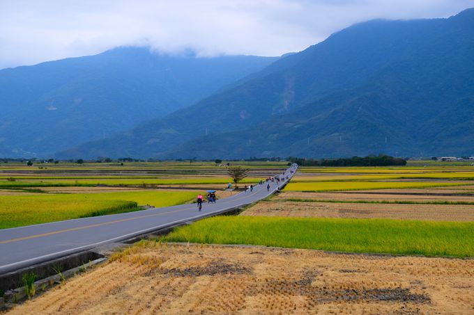 ロハスな台湾で深呼吸…サイクリングで大自然を満喫しよう