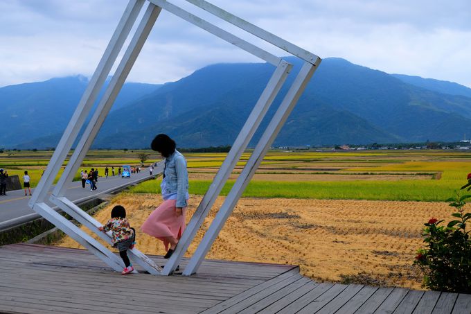 ΂̓V̓BcڂтN哹𑖂낤