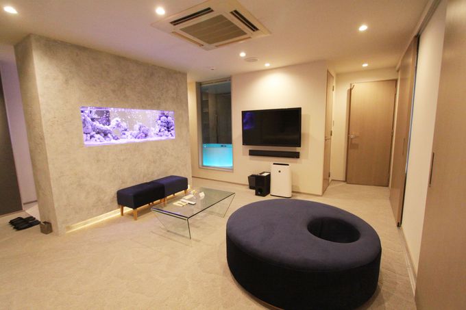 武田双雲の作品、壁にアメジストの鉱石、アートアクアリウムがある部屋