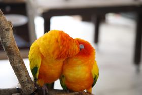 ���ア���ς��ɍL����Ԃ����ŁA�唗�͂̃o�[�h�V���[���y���߂�_�ˉԒ����̋L���T���l�C��