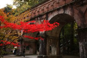 suTv̌gtX|bgIĽIȉƂ́HiqCbl̓V̍gtI̋LTlC