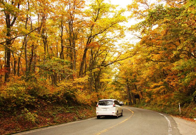 山の岩肌を染める紅葉に絶句 ぐるっと大山紅葉ドライブの見どころ 鳥取県 Lineトラベルjp 旅行ガイド