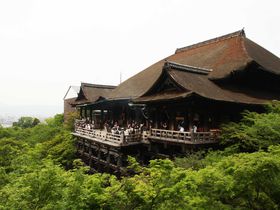 京都観光初心者必見！半日で手軽に三大名所をめぐるハートツアーが今熱い！