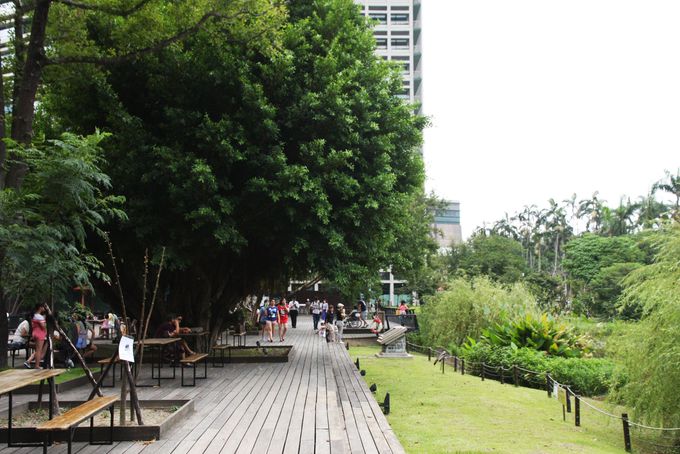 台北市民の憩いの場「生態池（ビオトープ）」