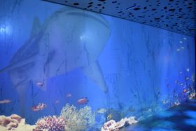 �n��14�K�̐[�C�̐��E�H�I�z�e�� ���j�o�[�T�� �|�[�g�̃|�[�g�f�B�[�v�I�[�V�����t���A�̋L���T���l�C��