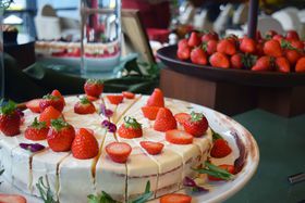 ���̂������r���b�t�F�Ȃ�n�C�A�b�g���[�W�F���V�[����Grove of berry�ւ̋L���T���l�C��