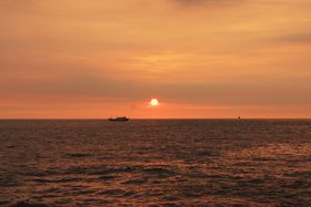 ��p�E�ŋ�p���̎��ق���݂鍂�Y�`�̗[�����������I�̋L���T���l�C��