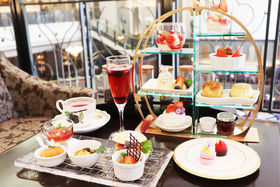 N̋ɏAt^k[eB[Ize}C^[iVi̋LTlC