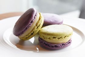 �s�G�[���E�G�����}�j�A�K���I�U�E���b�c�E�J�[���g�����s����}�J�����͔����̋ɂ݁I�̋L���T���l�C��