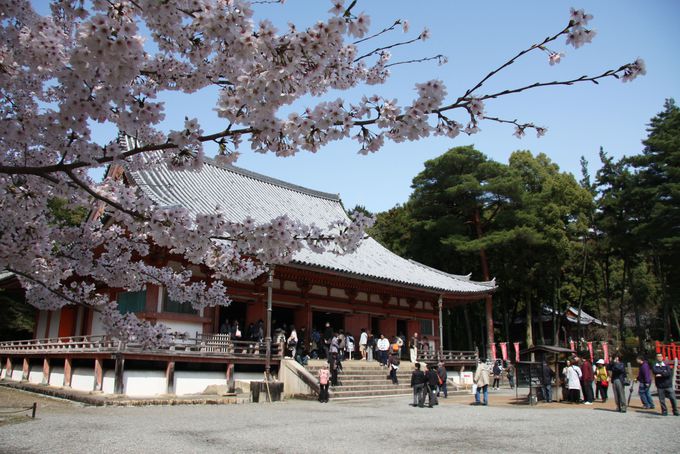 醍醐寺の弁天堂は池にうつる桜が美しい