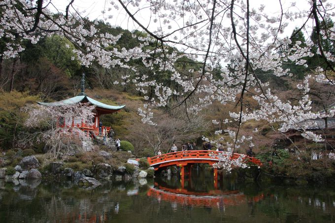 醍醐寺の弁天堂は池にうつる桜が美しい