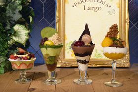 ́YptF͐X̒ŁHIptF~ptFeALargoiSj̋LTlC