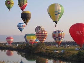 ����̖ʔ��X�|�b�g���������I1��2���������ߊό����f���R�[�X�̋L���T���l�C��