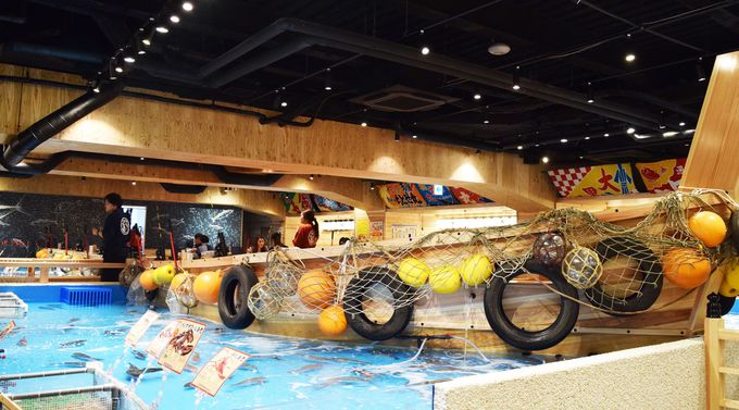 大阪の釣船居酒屋はフグも釣れる ジャンボ釣り船 つり吉 大阪府 Lineトラベルjp 旅行ガイド