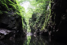 �{�[�g�ł����Q�q�ł��Ȃ��I�R�`�E�O���k�J�ʂ蔲���Q�q�͐�i�̕�ɂ̋L���T���l�C��