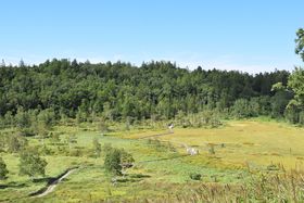 uꍂ̖͂MƋl܂nCLOȂ玩RTR[XI̋LTlC