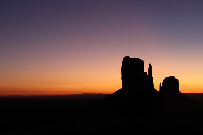 �v���l�^���E���̂悤�Ȑ��󂪊��\�ł���L���r��