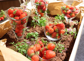 ����������O���I�X�g���x���[���X�C�[�c �i�C�g�u�b�t�F�u�z�e���O�������B�A���v�̋L���T���l�C��