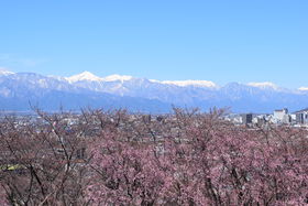 {EO@RÕōƖkAvX̐iR{𖞋i̋LTlC