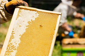 ���̃r���̉���ō̖��I�u�t�B�i���V�F�A���h�n�j�[�v���o����Ԑ��X�̋L���T���l�C��