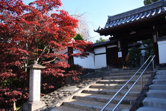庭が美しい東福寺の境外塔頭「光明院」
