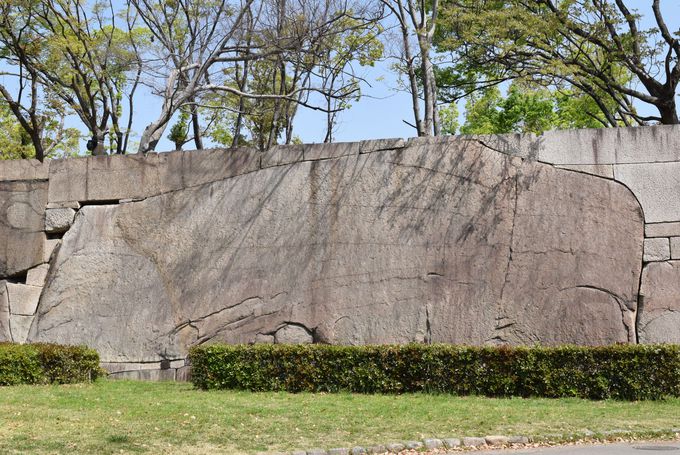 大阪城内で最も巨大な「蛸石」