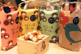 GL}VFV肨߂yYTXIlC̃XC[cEَq͂ꂾI̋LTlC