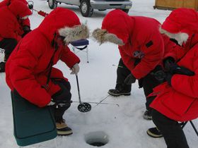 �������΂ŃT�o�C�o��!?�Ɋ��̃A���X�J�u�A�C�X�E�t�B�b�V���O�v�̋L���T���l�C��