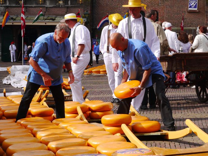 チーズ市場で有名な「アルクマール」