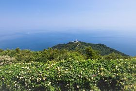 CݐuɃhCuICNp_CXE啪sւ̋LTlC