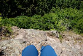 啪uR勫v͊댯ȎRxCsIɒӂĕ̋LTlC