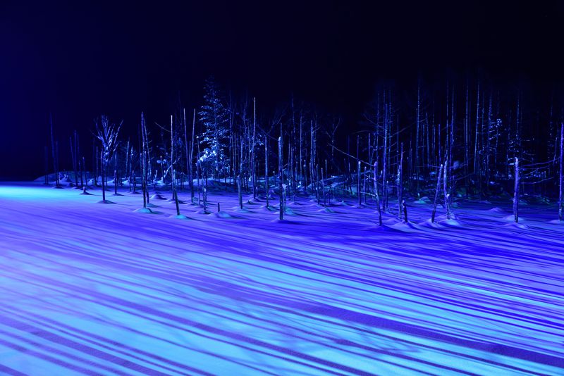 冬の美瑛・幻想的な青い池のライトアップを見るならホテル・ラブニールに泊まろう 北海道 LINEトラベルjp