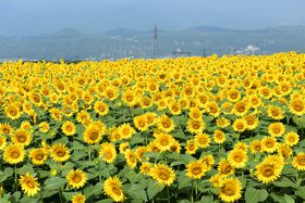 8���ɍs�������������s�您������10�I�y2025�z�̋L���T���l�C��