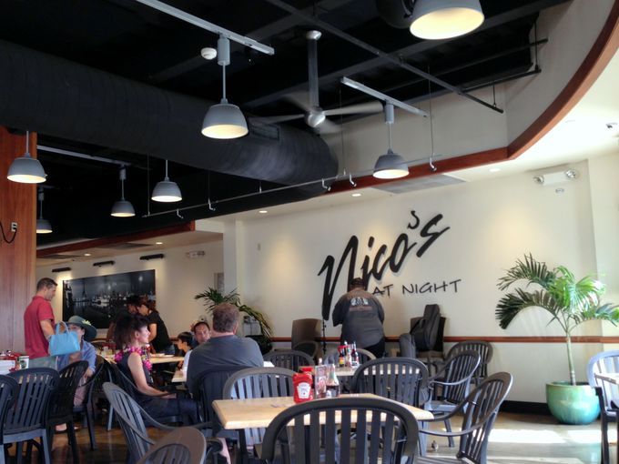 �I�A�t�������̐V��ԁH�I�t���C�g�̔��̓j�R�Y�s�A38�̃}�O���Ŗ����I