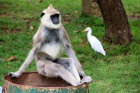 �X�������J�ŌÂ̓s�I���E��Y�A�k���[�_�v���̗��j��H��̋L���T���l�C��