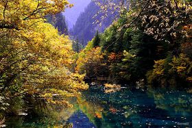 �܂�ŐF�ʂ̕�Δ��I�g�t�ɔR���钆���̐��E��Y�u��ˍa�v�̂������߃X�|�b�g�̋L���T���l�C��