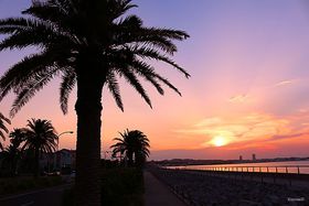 [̖I{̊ω肩nxC݂܂Łu݂̘Hv𒪕ŰLTlC