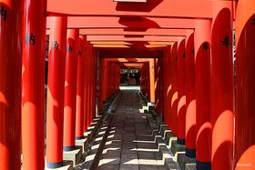 �H�c��`���ӂ̊ό��X�|�b�g�I�A�N�Z�X���Q�̂������ߎU��R�[�X�̋L���T���l�C��