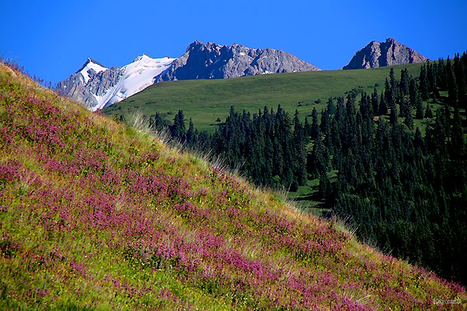 天山山脈登山の拠点！キルギスのカラコルで大自然を満喫