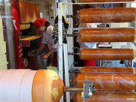 �_�Ƃ����o�[���N�[�w���ɍs��I��錧�u�[��_���v�������̎��R�_�@�����ވ�i�̋L���T���l�C��