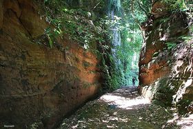 ���q�Ń^�C���X���b�v�I�鋫�������������Γސؒʃn�C�L���O�̋L���T���l�C��