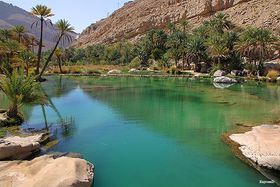 �_��̃I�A�V�X�ƍ�������ŃI�}�[���̑厩�R�𖞋i�I�̋L���T���l�C��