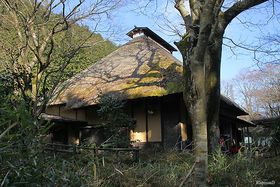 �������z���I�喼�s����ʂ����������X���𔠍��֏����瓒�{�܂Ńn�C�L���O�̋L���T���l�C��