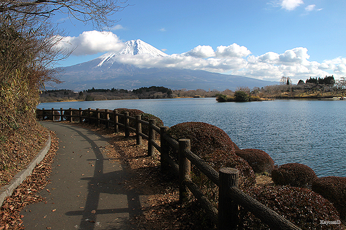 富士山を見ながら田貫湖一周 1時間で歩けるハイキングコース 静岡県 トラベルjp 旅行ガイド