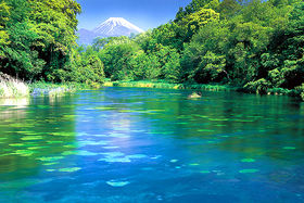 ���̂܂܈��߂�I�É��u�`�c��N���Q�v�ŐS�g���Ƀ��t���b�V���̋L���T���l�C��