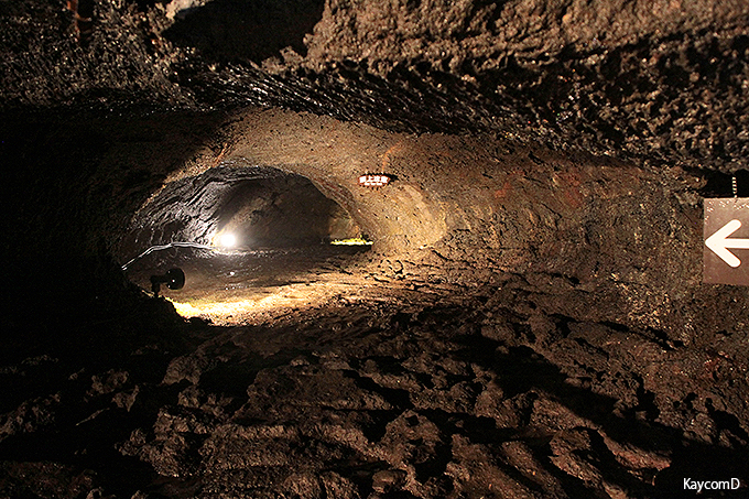 富士山麓の洞窟探検 西湖コウモリ穴と竜宮洞穴の神秘の世界 山梨県 トラベルjp 旅行ガイド