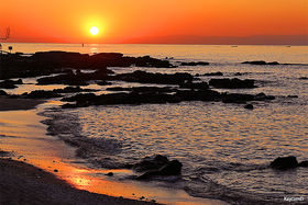 OY̏ȓuV_v̌Ɛi|CgЉI̋LTlC