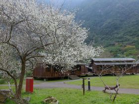 pZ𖡂킦zeI[_[BbW^R̋LTlC