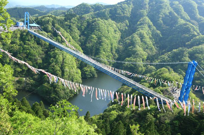 茨城「竜神大吊橋」の長さは歩行者用吊橋本州一！