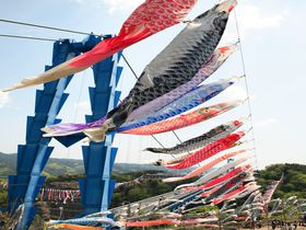 関東有数1,000匹の鯉のぼりが泳ぐ祭り！茨城「竜神大吊橋」は東京からも日帰り楽々